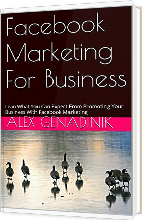 Facebook Marketing For Business Book